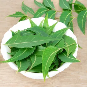 NeuroPrime XT Neem (Whole-Body Wellness Support)