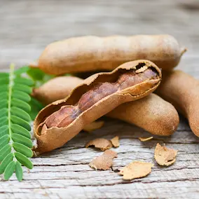 NeuroPrime XT Tamarind Extract Ingredient